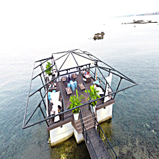Arkın Palm Beach Hotel